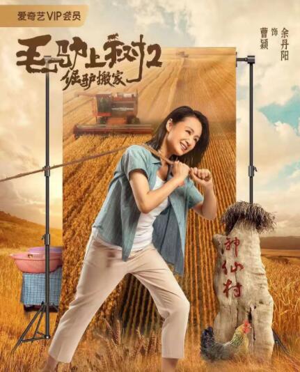 在线观看免费aaa高清完整版